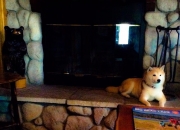 雷火电竞下载-北极光与草原雄鹰的相遇，若日尼奥在芬兰与乌拉圭的矛盾之战中编织中场魔法