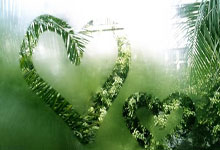 雷火电竞充值-广东主场对阵福建队，壮观比拼