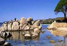 开云APP-欧洲足坛双重风暴！德国战车熄火引爆连锁反应，亚平宁争冠乱局再添薪柴