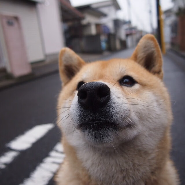 幻镜对决,库里爆发之夜与新疆峡谷的魔术终章